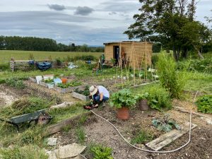 An allotment, with one person working